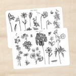 Biber Stickersheet - Stängel