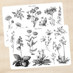 Biber Stickersheet - große Pflanzen