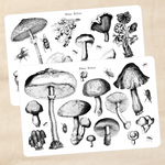 Biber Stickersheet - Pilze