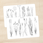 Biber Stickersheet - mehr Gräser