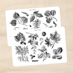 Biber Stickersheet - Herbstlaub