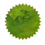 Robert Oster - Verde de Rio - 50 ml