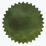 Robert Oster - Eucalyptus Leaf - 50 ml