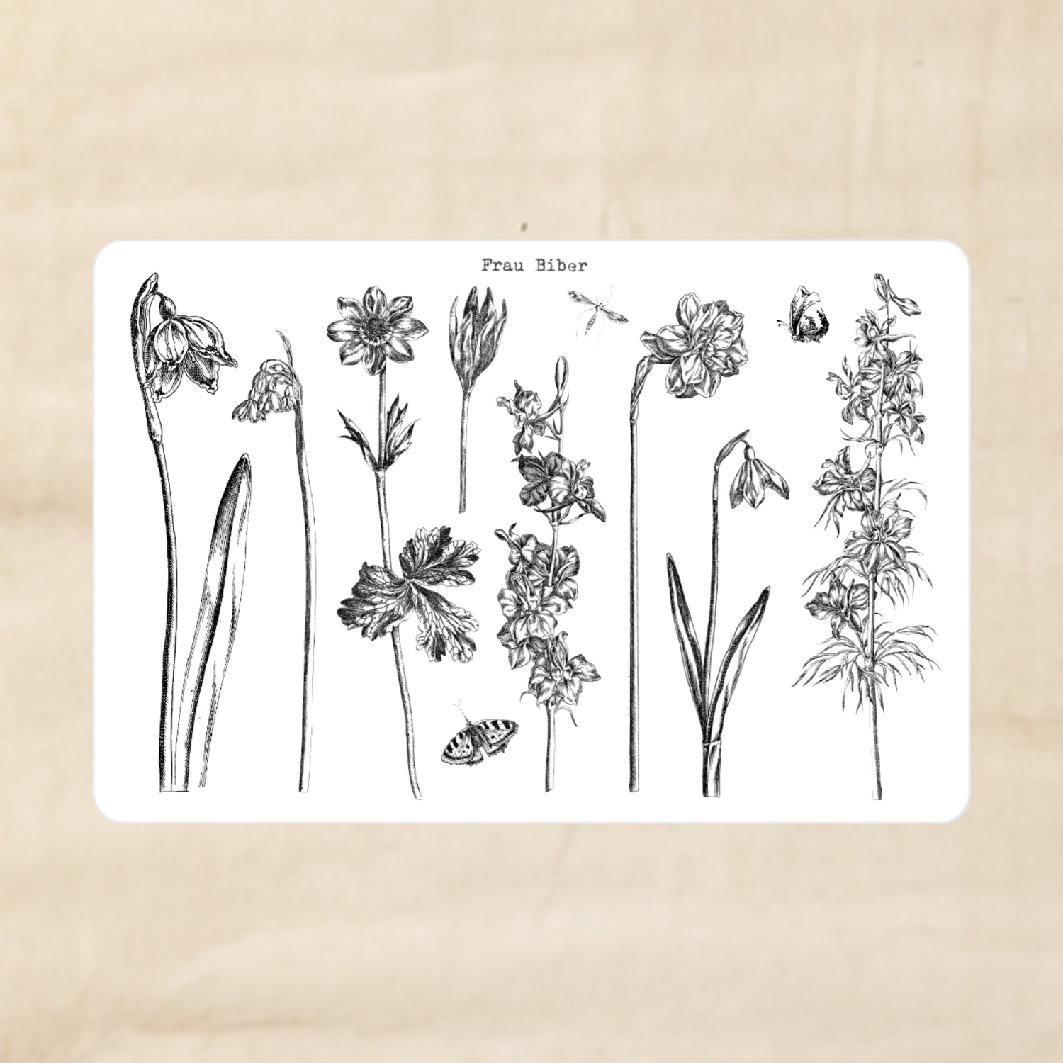 Biber Stickersheet - Stängel