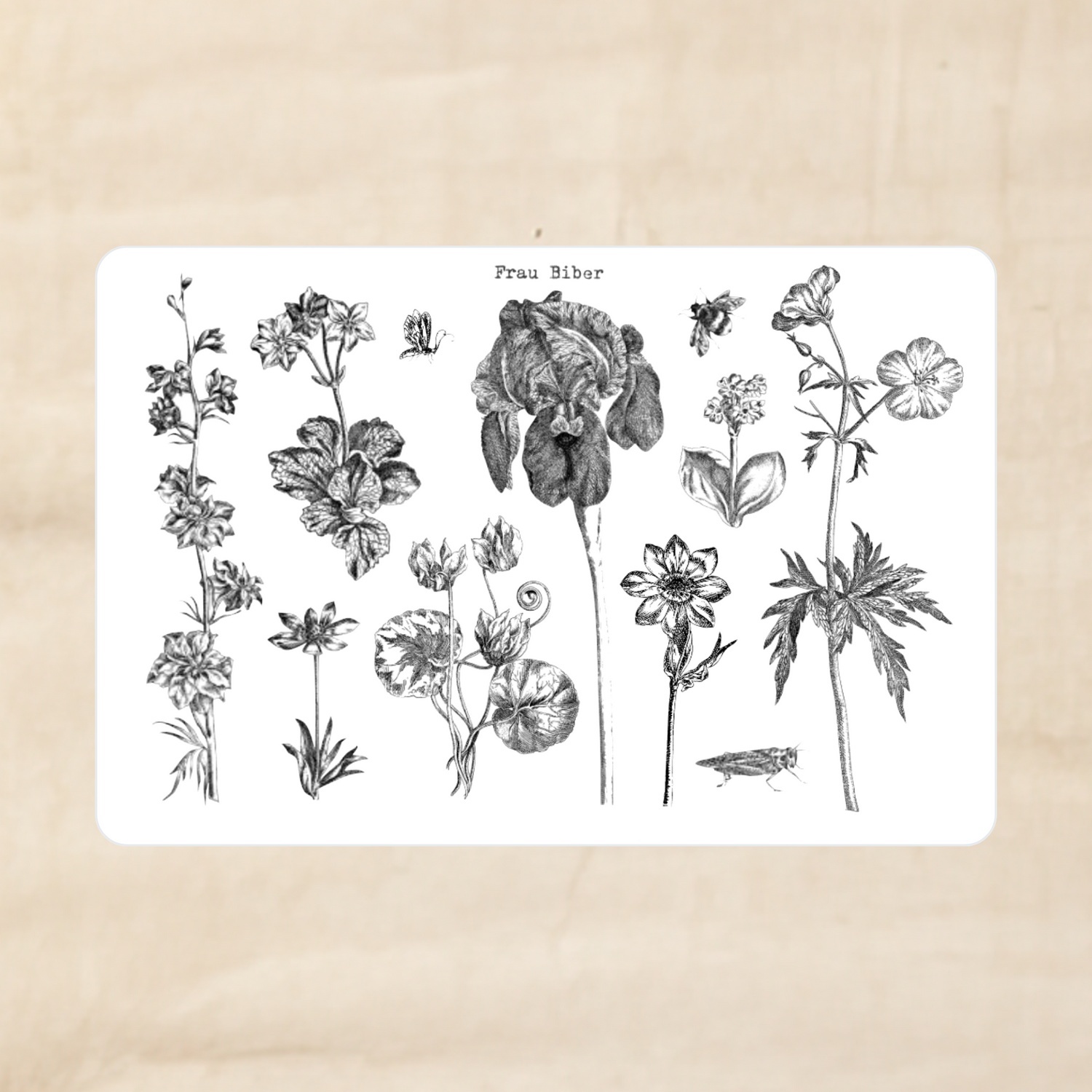 Biber Stickersheet - Stängel