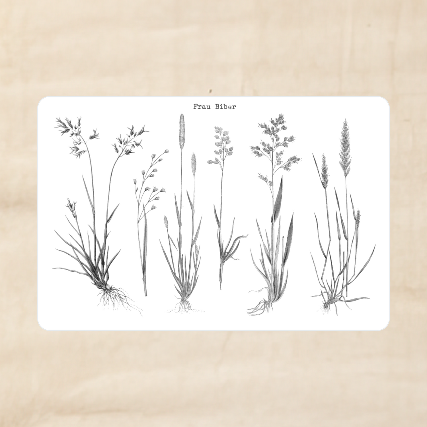 Biber Stickersheet - Gräser