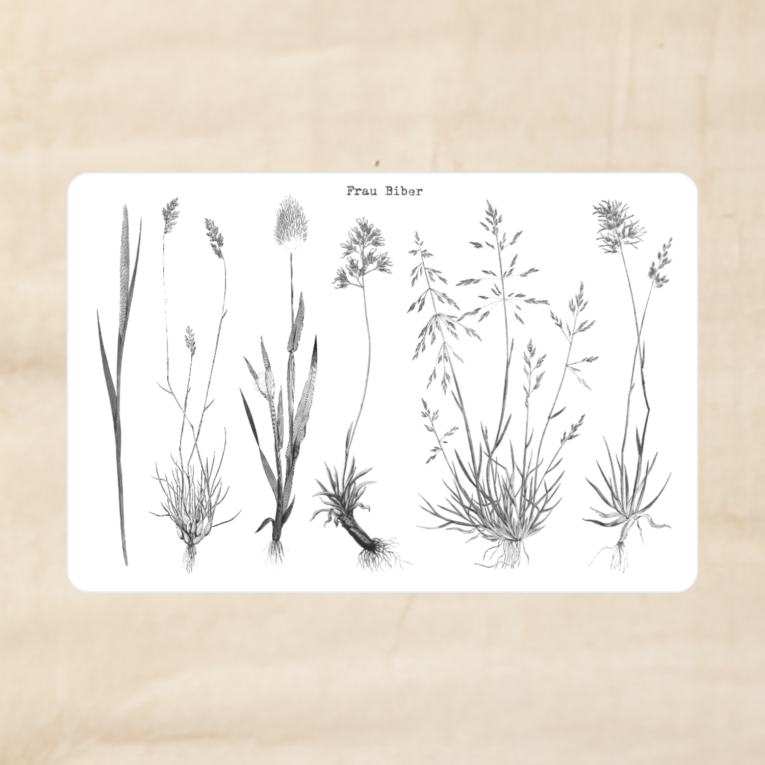 Biber Stickersheet - Gräser