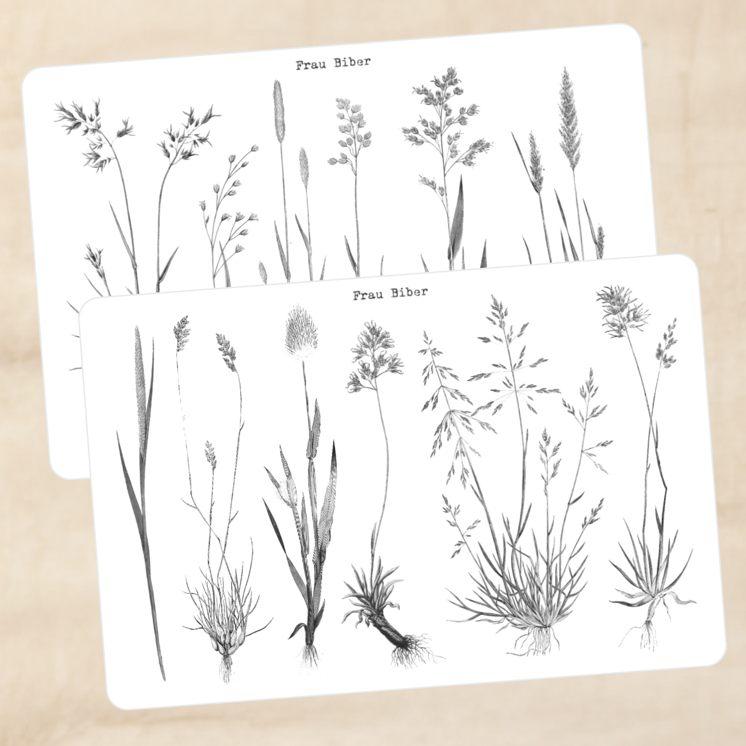 Biber Stickersheet - Gräser