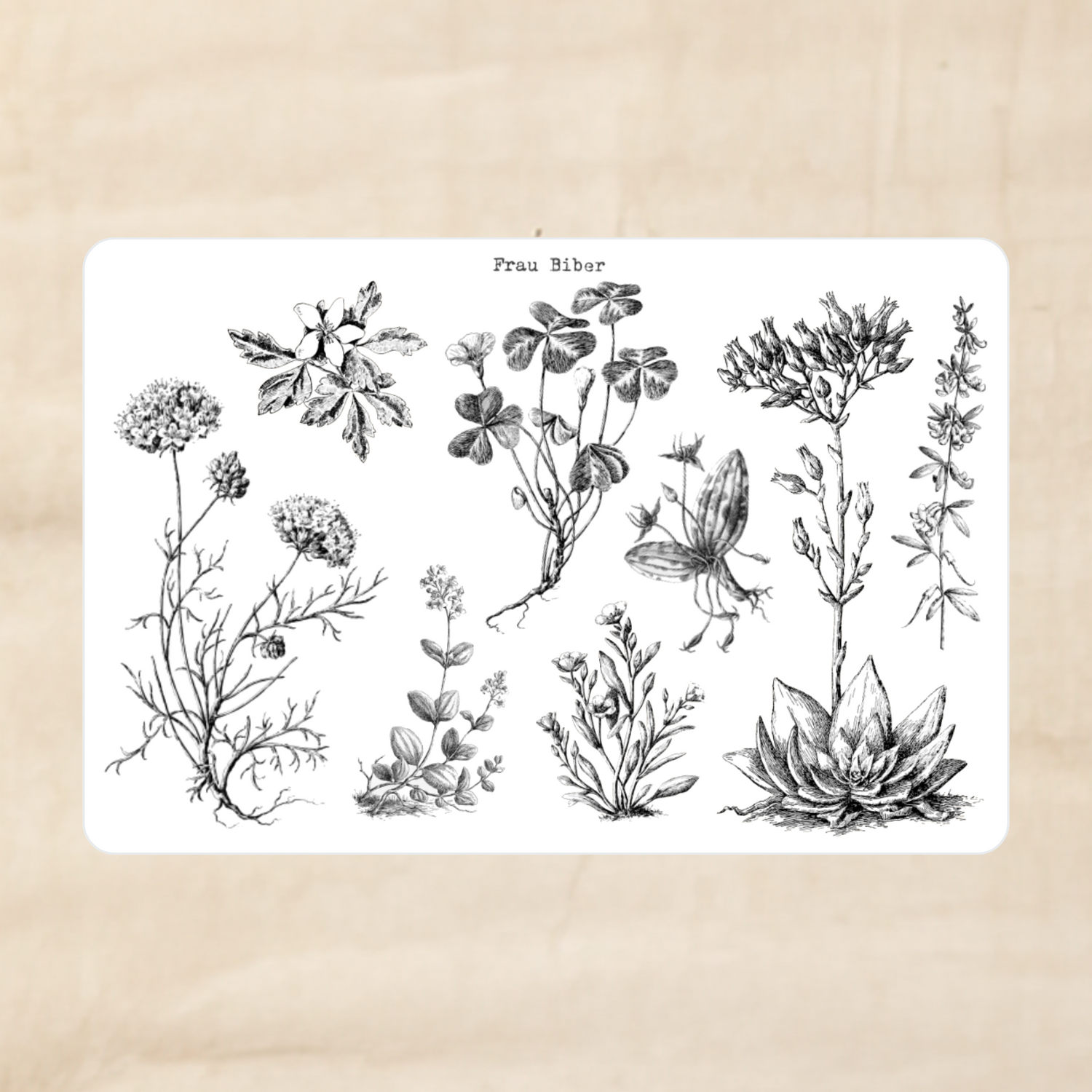 Biber Stickersheet - große Pflanzen