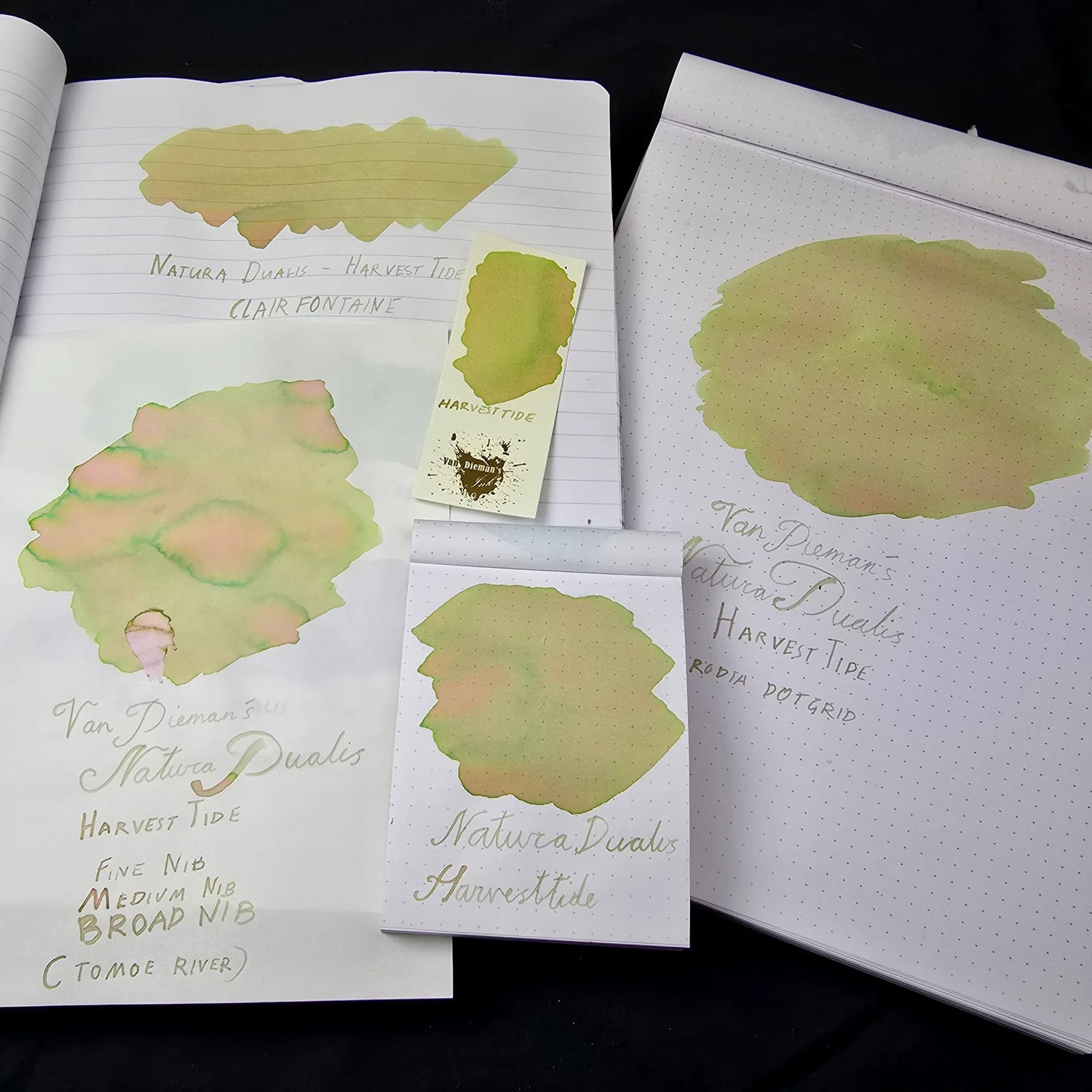 Van Diemans Ink - Professionell - Nature Dualis HarvestTide Dual Tone