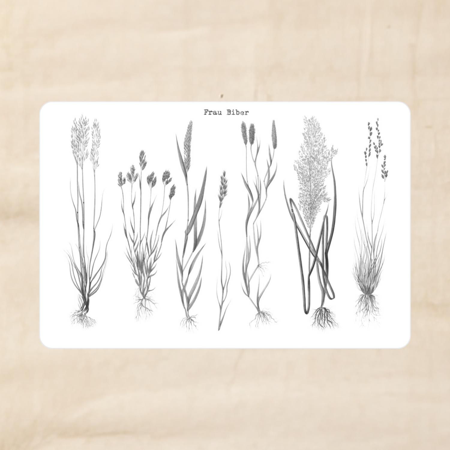 Biber Stickersheet - mehr Gräser