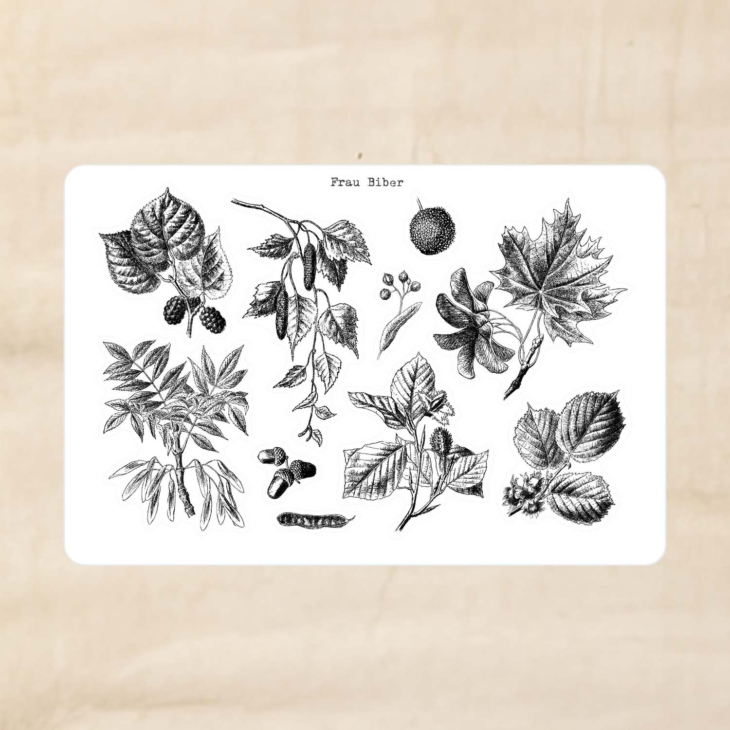 Biber Stickersheet - Herbstlaub