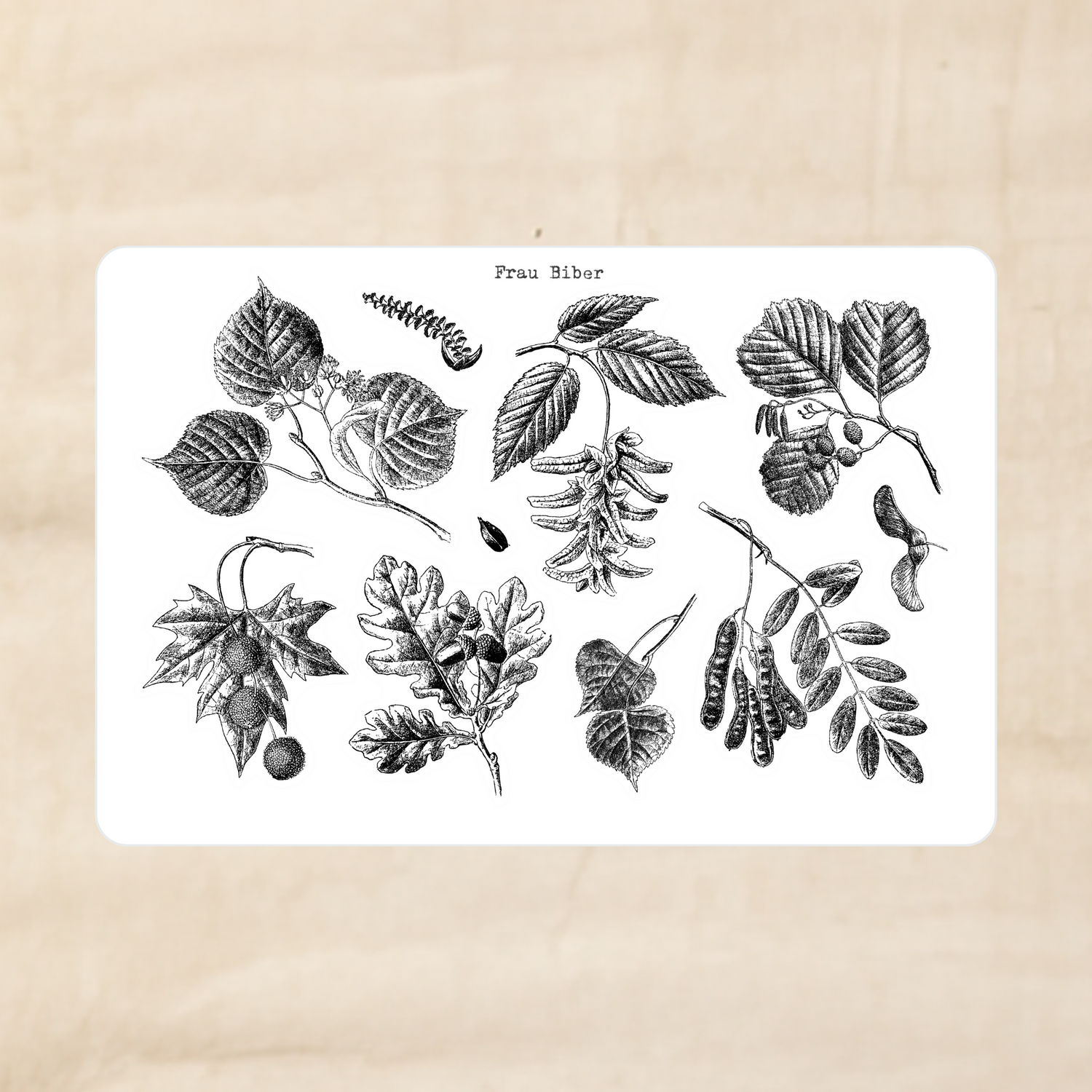 Biber Stickersheet - Herbstlaub