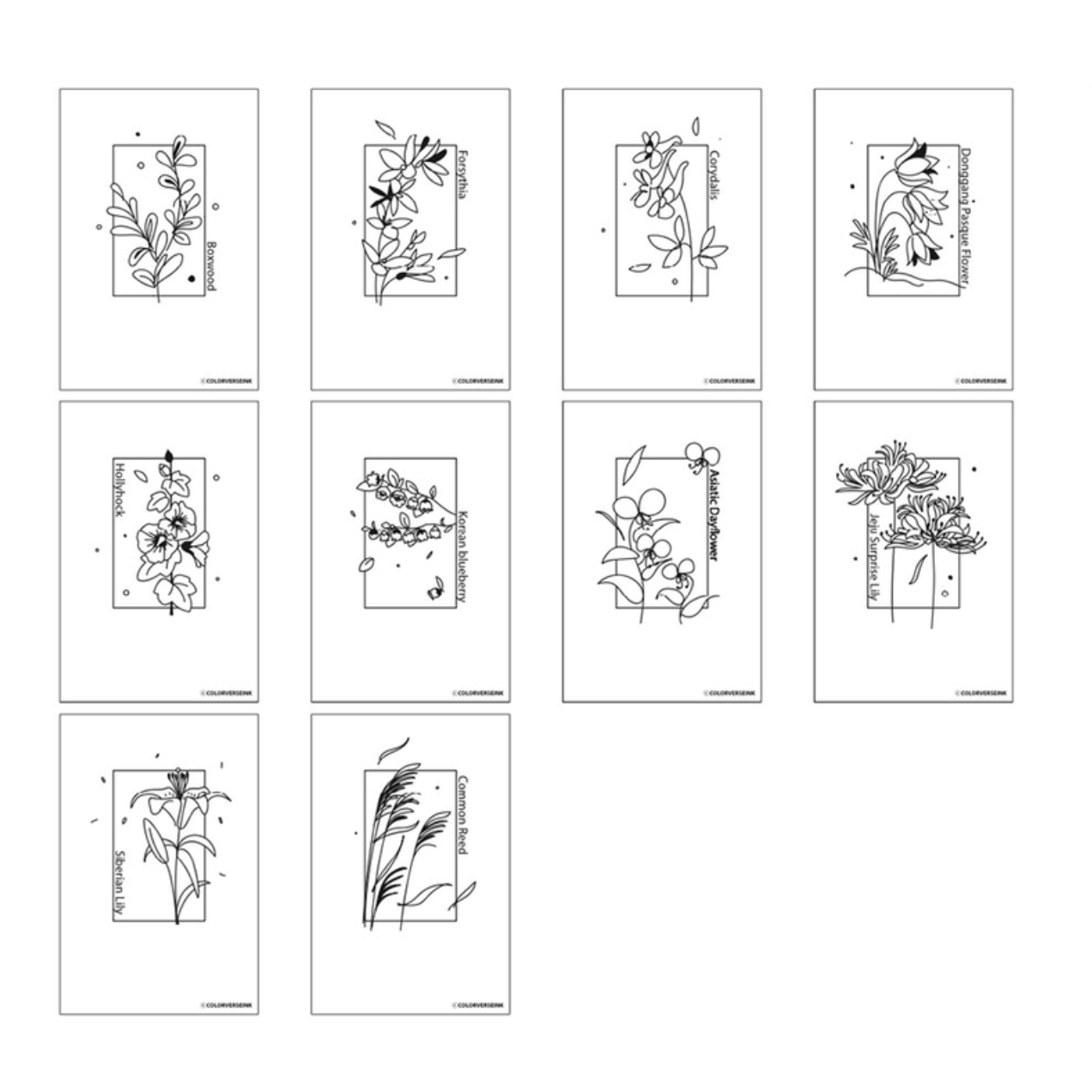 Colorverse - Colorspace Ink Art Card - Wildflower - Size B