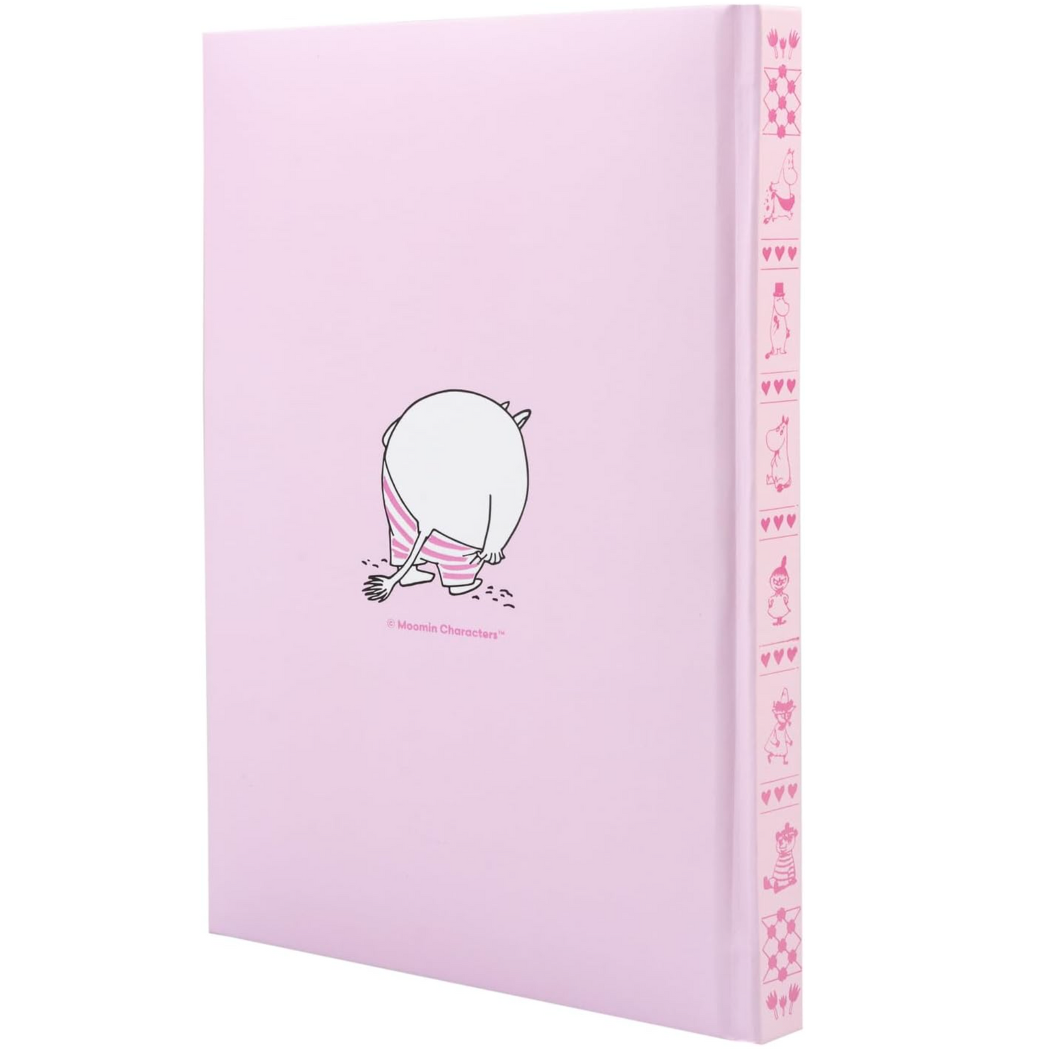 Erik - MOOMIN - Premium-Notizbuch - A5