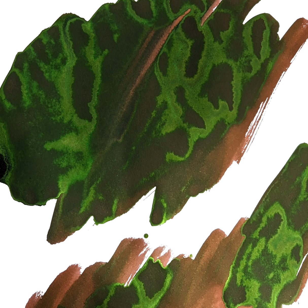 Van Diemans Ink - Voyagers - Heemskerck and Zeehaen - 30 ml