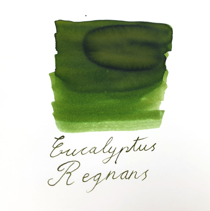 Van Diemans Ink - Wilderness - Eucalyptus Regnans - 30 ml