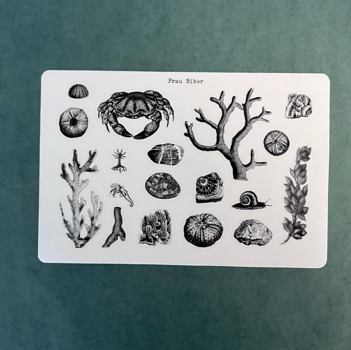 Biber Stickersheet - Strandgut