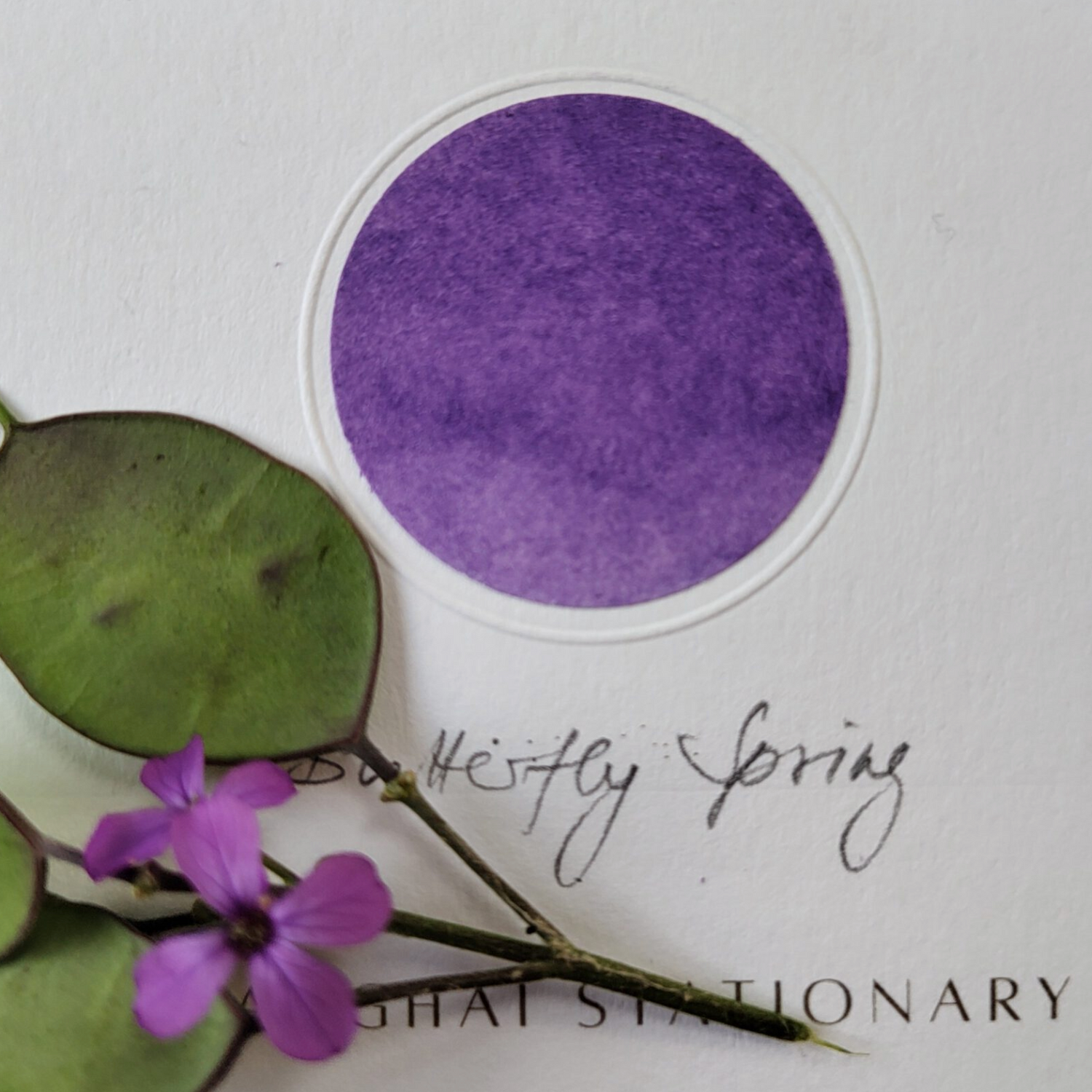 Shanghai Stationary - Butterfly Spring - 50 ml