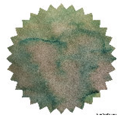 Robert Oster - Avocado - 50 ml