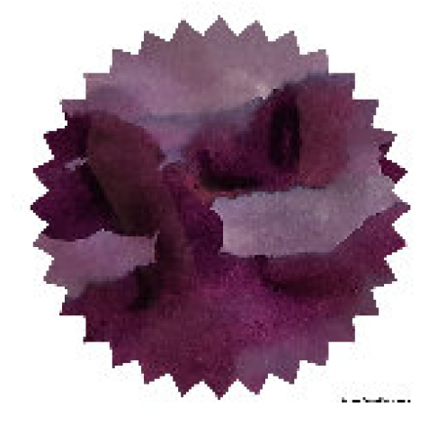 Robert Oster - Barossa Grape - 50 ml