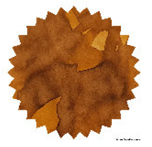 Robert Oster - Caffè Crema - 50 ml