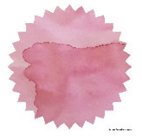 Robert Oster - Cherry Blossom - 50 ml