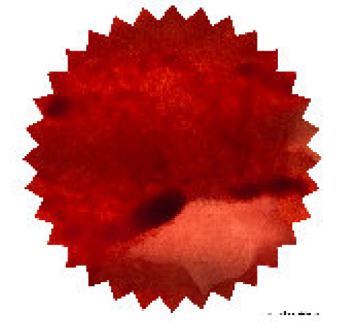 Robert Oster - Direct Sun - 50 ml