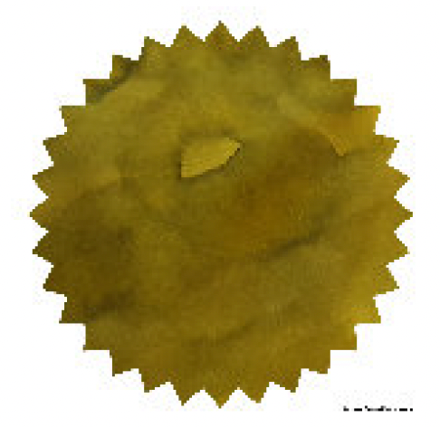 Robert Oster - Khaki - 50 ml