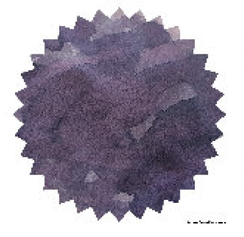 Robert Oster - Sydney Lavender - 50 ml