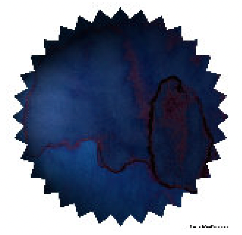 Robert Oster - Tokio Blue Demin - 50 ml