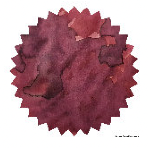 Robert Oster - Australien Syrah - 50 ml