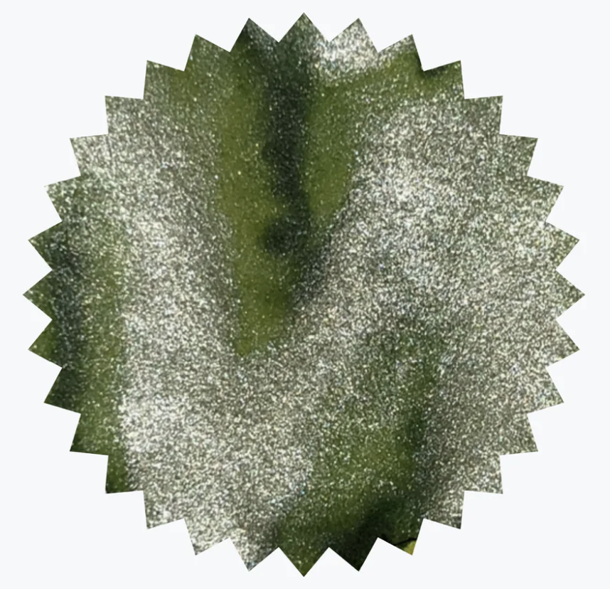 Robert Oster - Shake 'N' Shimmy Fizzy Lime - 50 ml - Shimmering