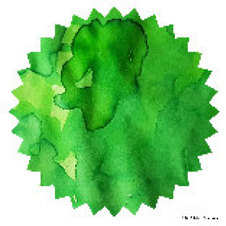 Robert Oster - Green Green - 50 ml