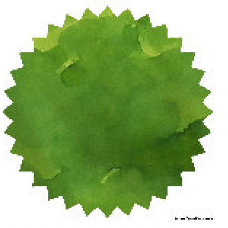 Robert Oster - Forest Green - 50 ml