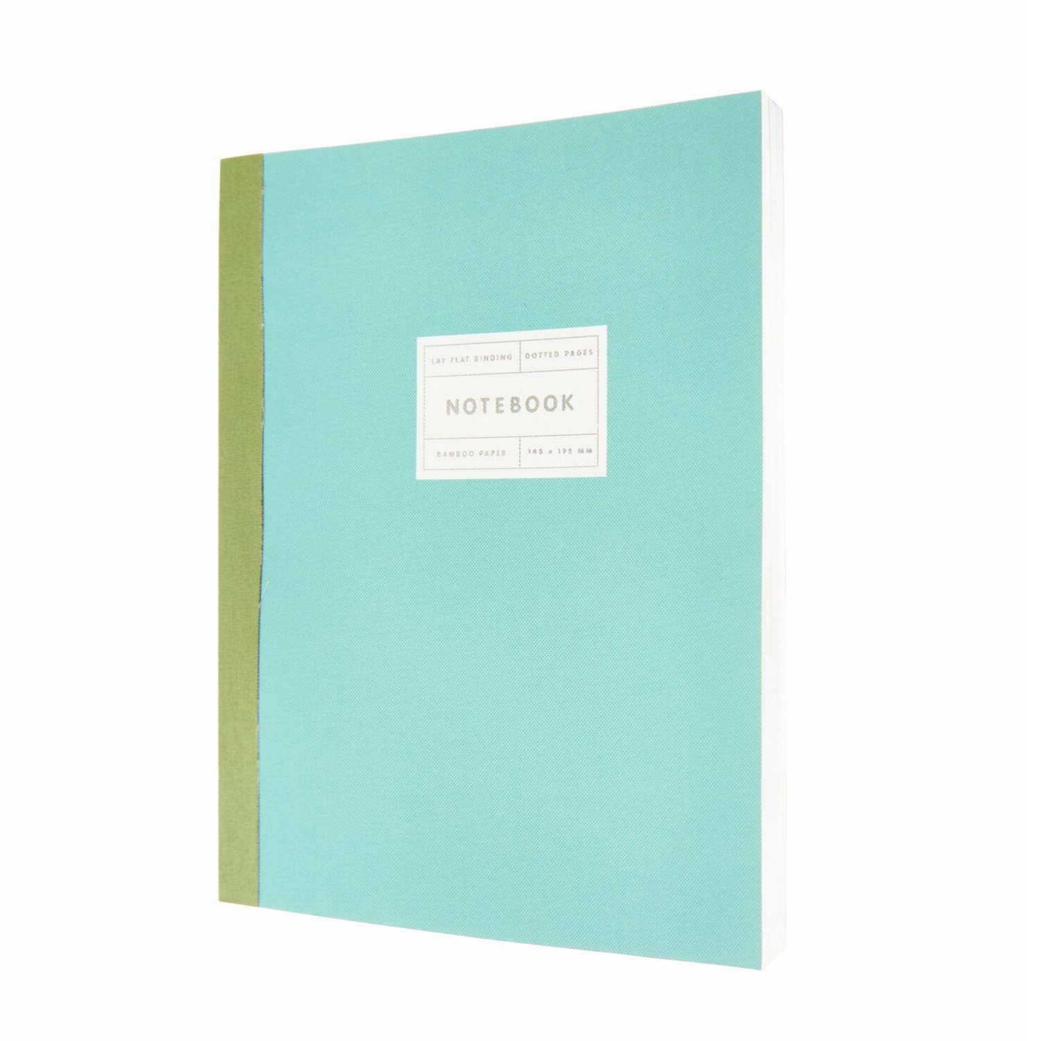 Rico - Paper Poetry - Notizbuch S Silberrand - mint