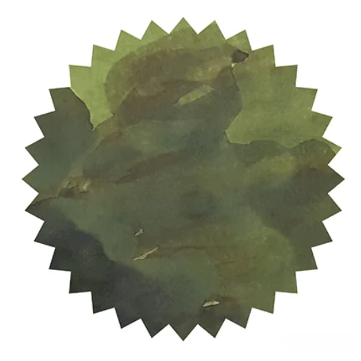 Robert Oster - Crocodile Green - 50 ml