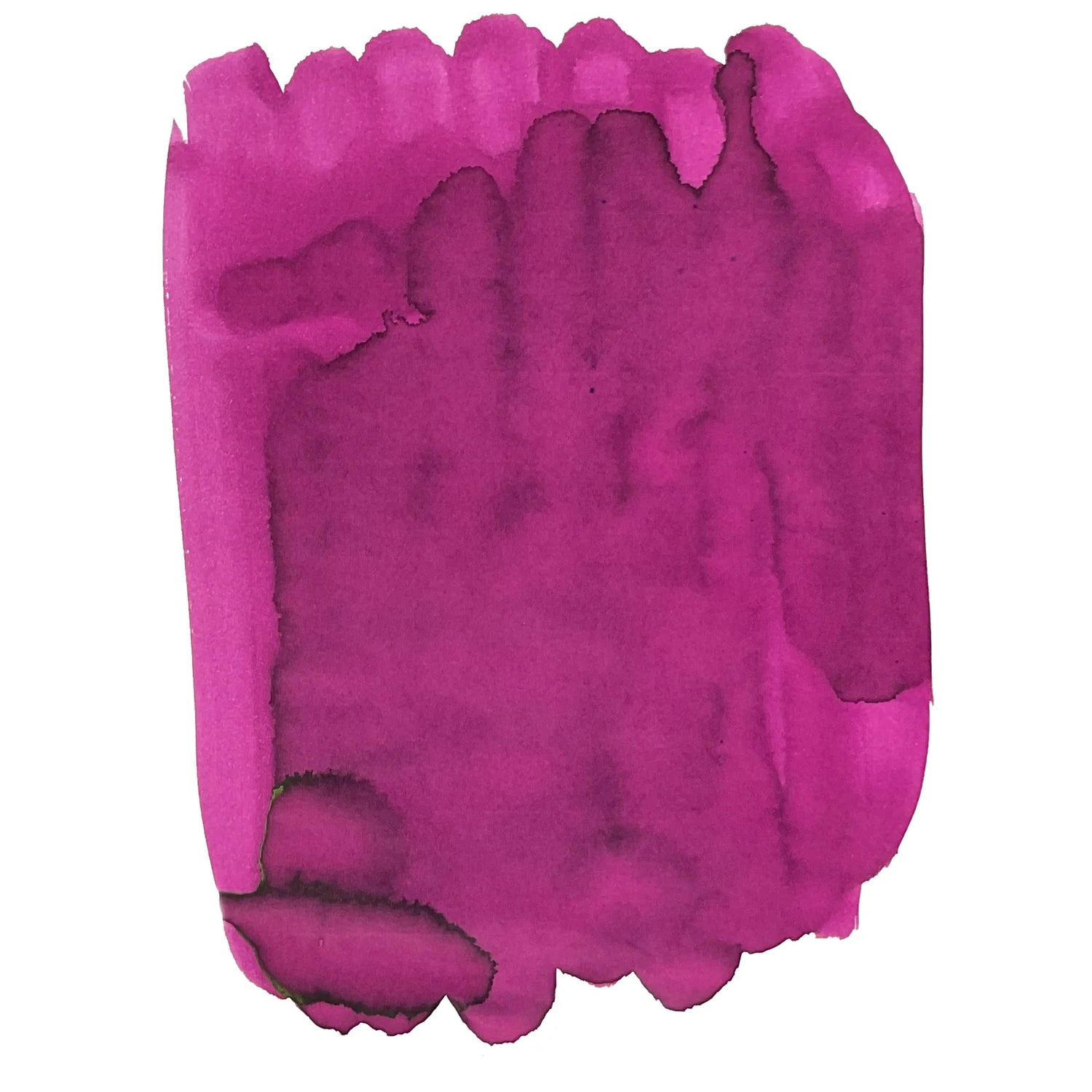 Van Diemans Ink - Birds of a Feather - Anna's Hummingbird Face