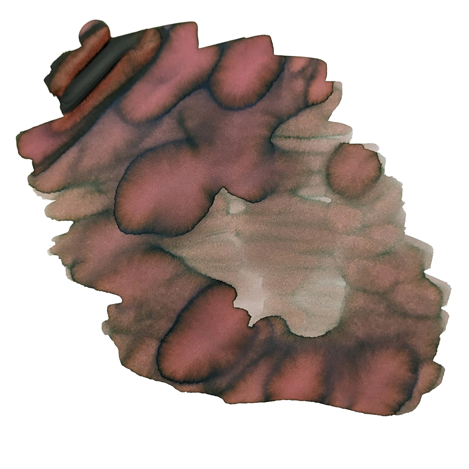 Van Diemans Ink - Voyagers - Woolarawarre Bennelong