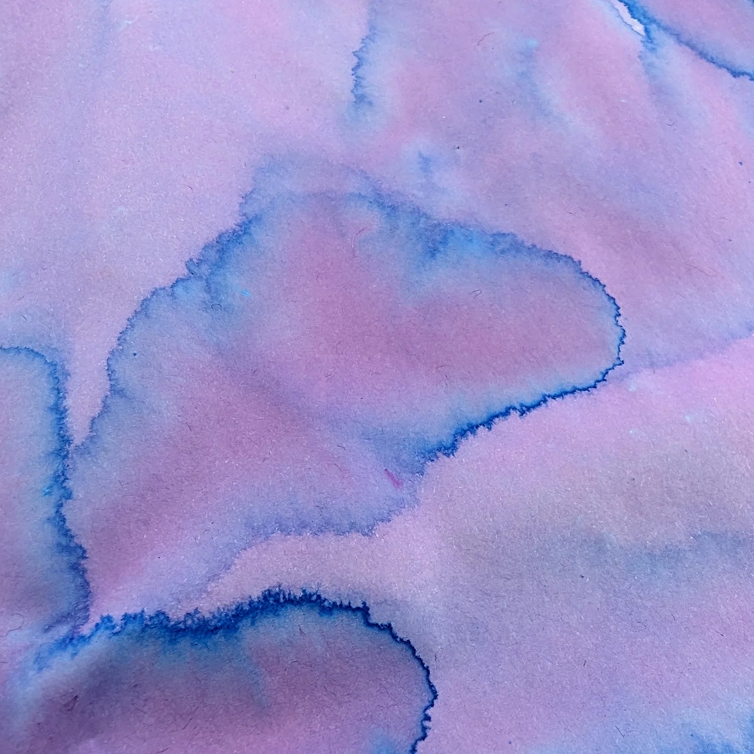 Van Diemans Ink - Encore - Pas de Deux - SAMPLE