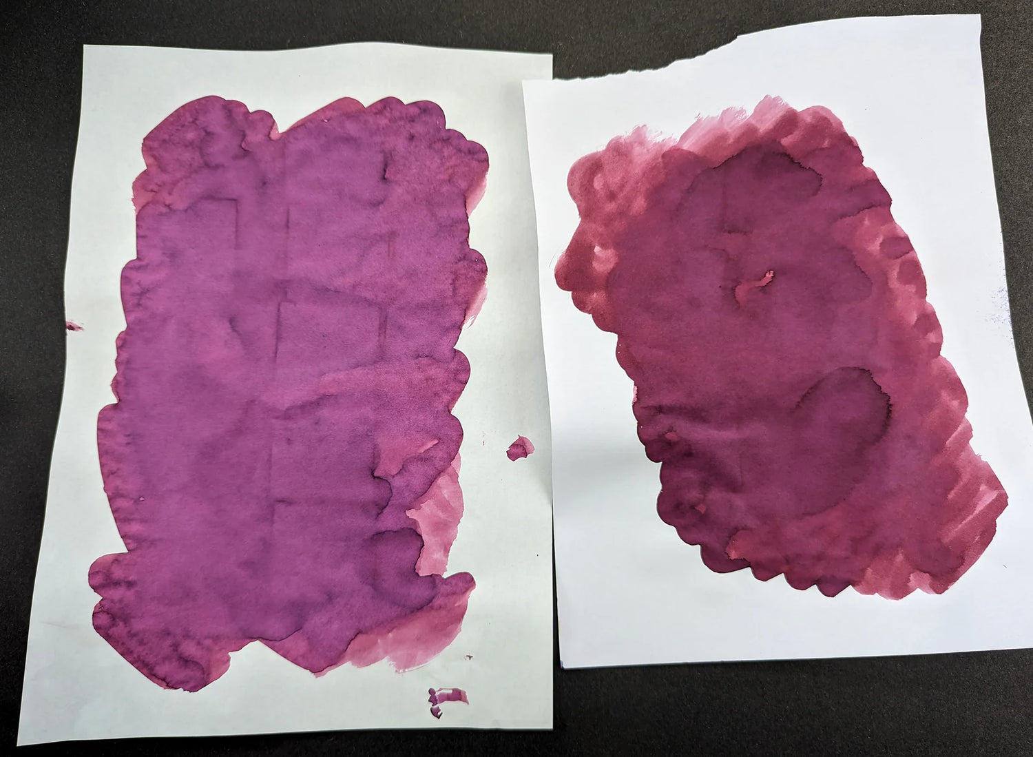 Van Diemans Ink - Encore - Prima Donna - SAMPLE