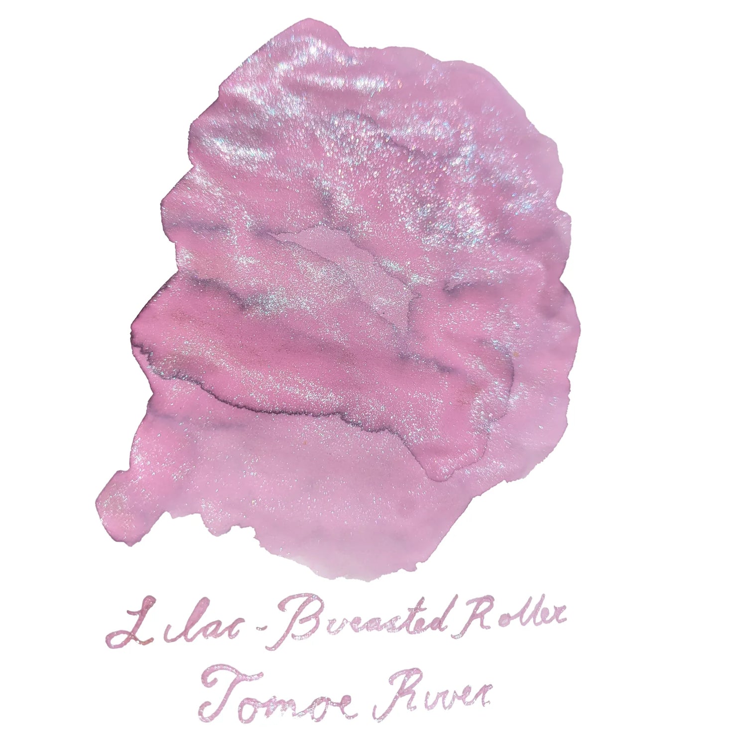 Van Diemans Ink - Birds of Feather - Lilac Breasted Roller Breast Shimmering