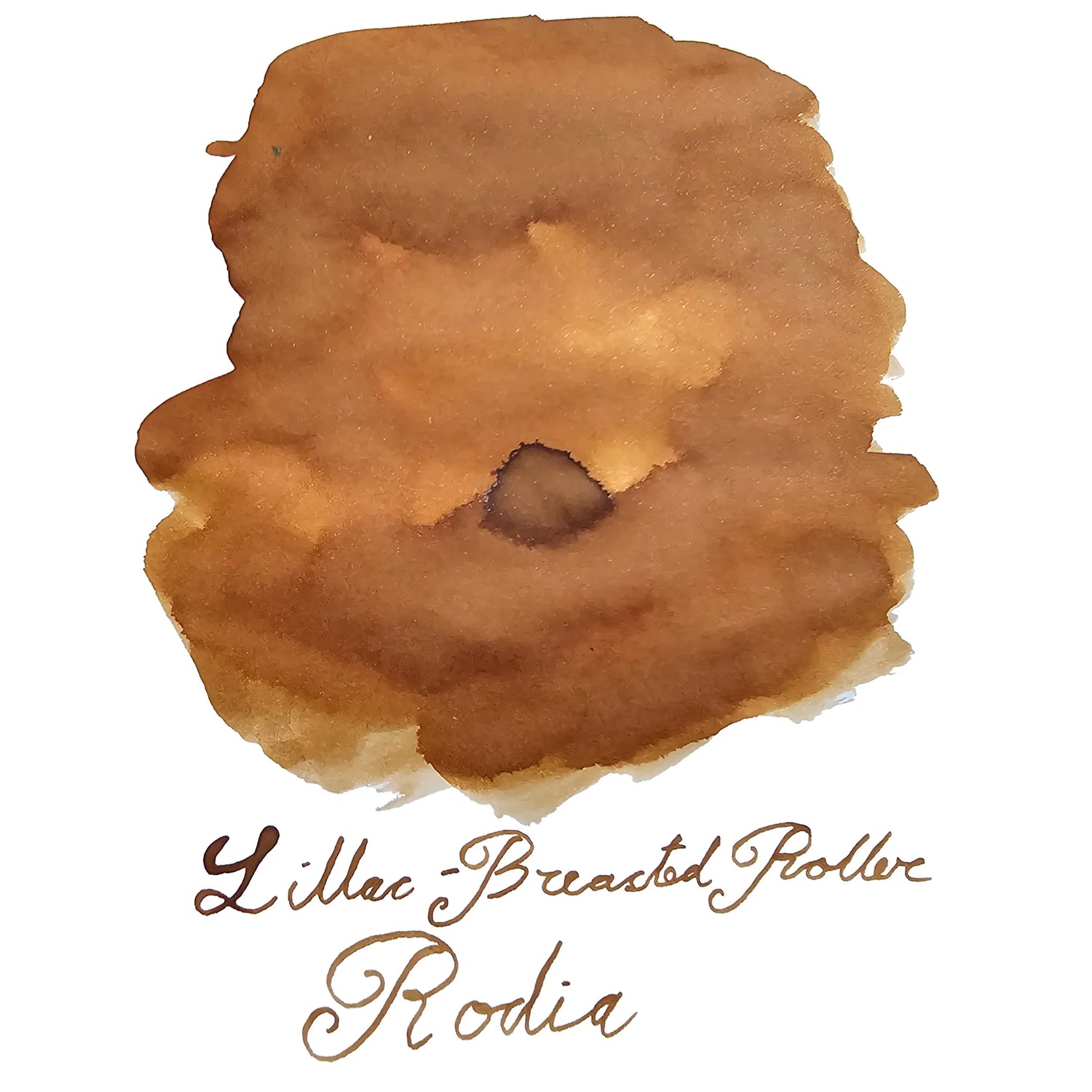 Van Diemans Ink - Birds of a Feather - Lilac Breasted Roller Nape