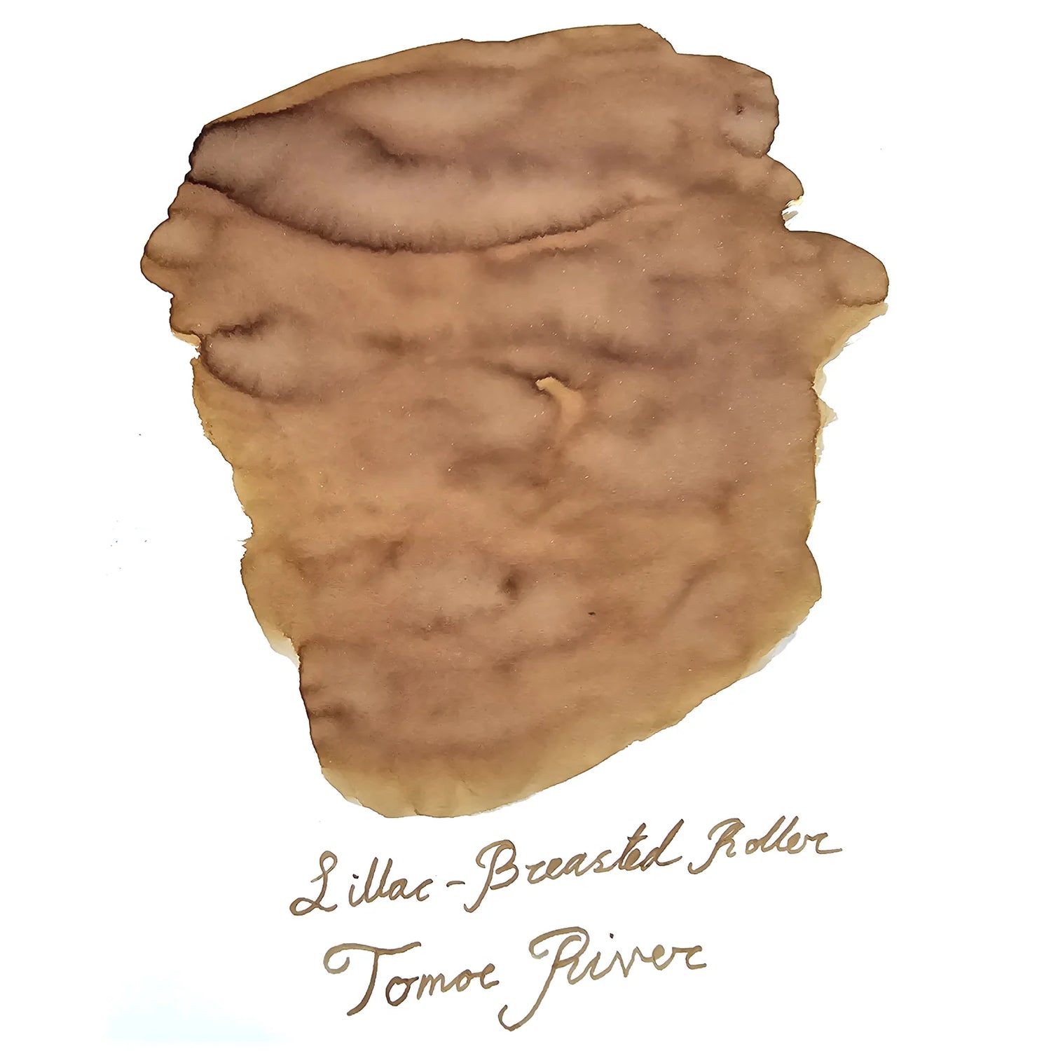 Van Diemans Ink - Birds of a Feather - Lilac Breasted Roller Nape