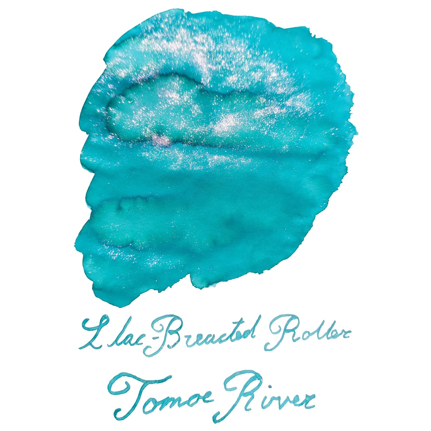 Van Diemans Ink - Birds of Feather - Lilac Breasted Roller Wing Shimmering