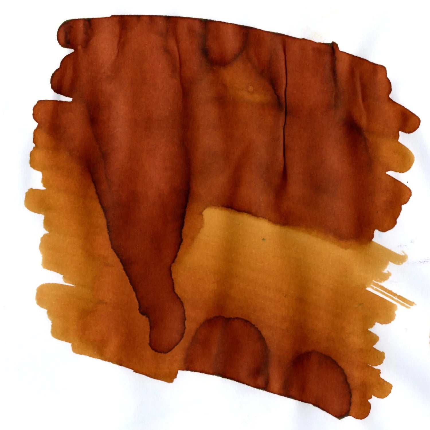 Van Diemans Ink - Tasmania - Leatherwood Honey