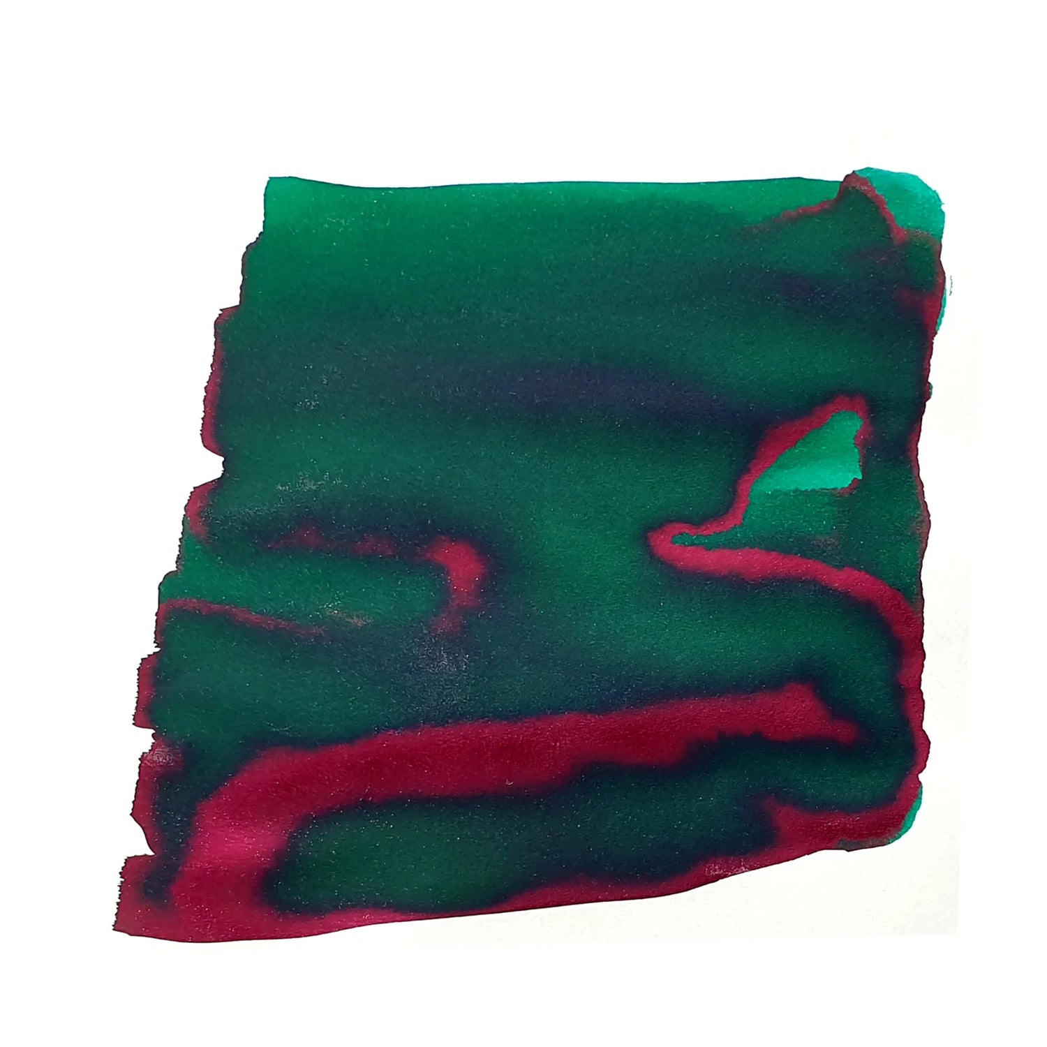 Van Diemans Ink - Underwater - Sea Turtle